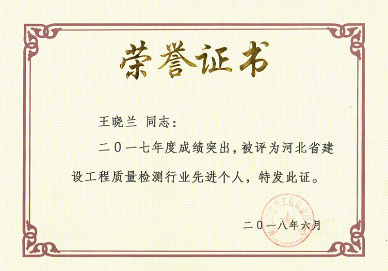2017年度王晓兰先进个人