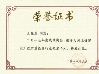 2017年度王晓兰先进个人